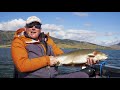 Yellowstone Teton Territory Fly Fishing | Highway 20 Trout