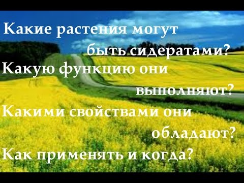 Когда садить овес на зиму Когда садить овес на зиму