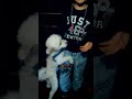 Video di un cane che si "incula" un bambino.