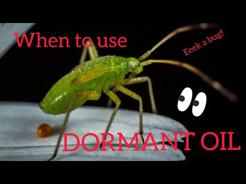 Ken talks about dormant oil sprays and how to use them effectively. Ken talks about dormant oil sprays and how to use them effectively.