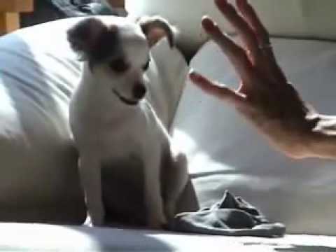 VIDEO TORBE ANASTASIA MAYO video torbe anastasia mayo: