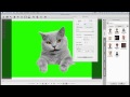 CrazyTalk7 Tutorial - Exporting Image Sequences & Videos