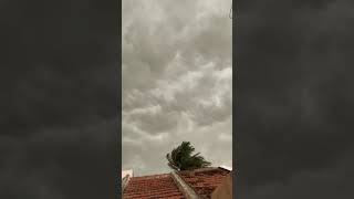 Stormy And Breezy Weather, Right?