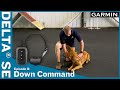 Ep. 8 Down Command – Delta® SE handheld & dog collar