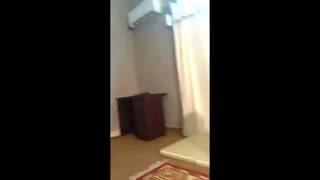 Video From My Girlfriends Phone