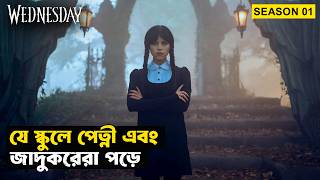 এক অদভত জদর সকলর গলপ Wednesday Season 01 Movie Explained In Bangla Storybuzz
