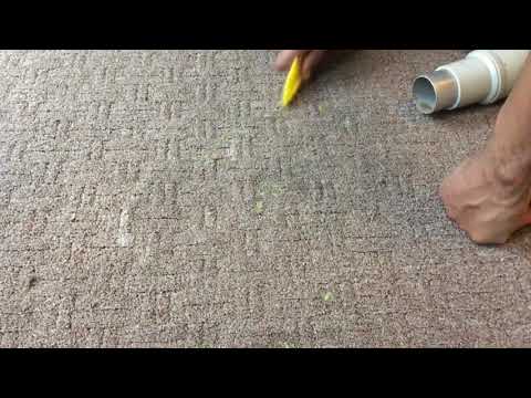 Steam cleaning carpet | gum removal