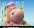 Dog and hippo playing in the bath Video
