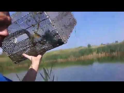 ловля раков раколовками купить ловля раков раколовками купить