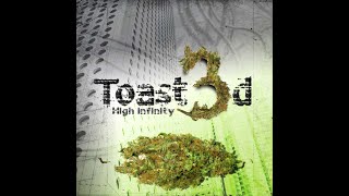 Toasted - Majestic (Remix) Psy Trance