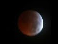 lunar eclipse - 03.03.07