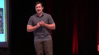What Can Bee Done? Parker Stewart Tedxsouthportelementaryschool
