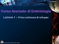 embriologia
