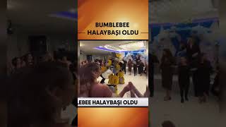 Düğünde Halay Çeken Transformers