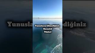 Sevimli Görünen Yunusların Aslında Ne Kadar Tehlikeli Olduğunu Biliyor Muydunuz?