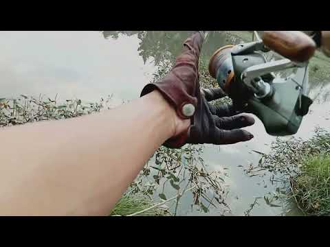 Lagi lagi kocolan - Fishing Vlog Ngawil Jejama #53