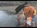 image Pantai Suwuk Kec Puring Kab Kebumen
