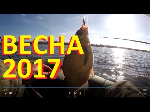 весенняя ловля карася на донку весенняя ловля карася на донку