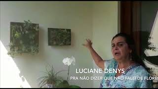 Pra não dizer que não falei de flores - Luciane Denys
