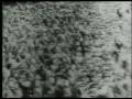 (1/10) Battlefield II Pearl Harbor Ep.7 World War II