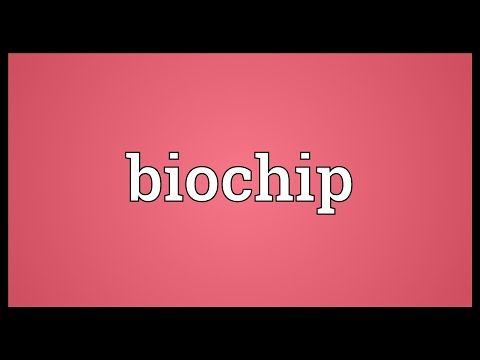 Header of Biochip