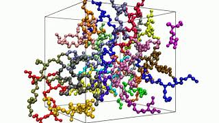 Polydisperse melt of branched polyethylenimine (PEI) chains