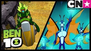 Ben 10 Alien Worlds | Widvine and Stinkfly | Cartoon Network