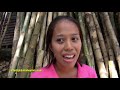 HOW TO MAKE EXOTIC BAMBOO FURNITURE. LIFESTYLE, CEBU PHILIPPINES