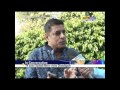 sudesh berry