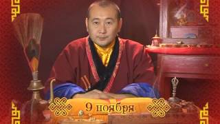 Зурхай на сегодня стрижка волос тивиком Зурхай на сегодня стрижка волос тивиком