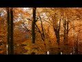 Gheorghe Zamfir-The Sleeping Beauty, Peaceful Music Meditation Natur Sounds