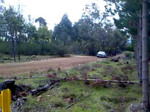 Rally SA Datsun 180B SSS 024 Datto carving it up