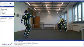 Cubemos Skeleton Tracking Sdk Demo