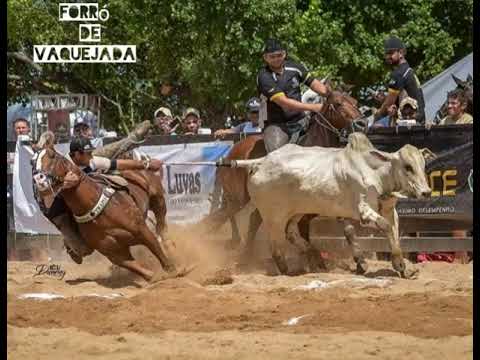 Vida De Vaqueiro Boy Video