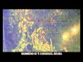 VIDEO CV INCHIESTA TRANS.avi