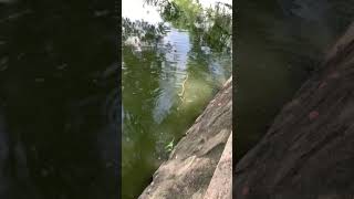 Kk Nya Mancing Dapet Jekpot Cewek Cantik Mancing