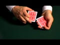 Wild Card Trick & DVD