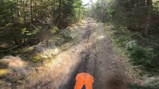 Beautiful Day On Ktm Lc4 640. Forest Roads.