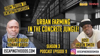 DAVID EDWARDS/ URBAN GARDENING IN A CONCRETE JUNGLE/EPISODE 9/ ESCAPING THE ODDS
