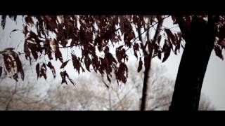 cegyg9FAfIM Video Image