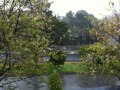 Enjoying the serenity of the downpour today as I write a few press releases and articles