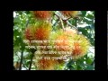 Surah Mulk (রাজত্ব) (mishari al afasi) with bangla translation
