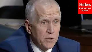 Thom Tillis Calls To Work Through The Cost Benefit Of Trump Accepting Plane From Qatar