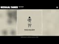 Mishaal Tamer - SAD BABY (Official Audio)
