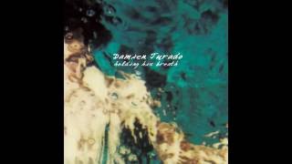 Watch Damien Jurado Now Youre Swimming video