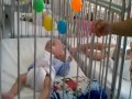Tre Em Mo Coi