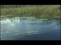 World's Best Bass Fishing FROGs