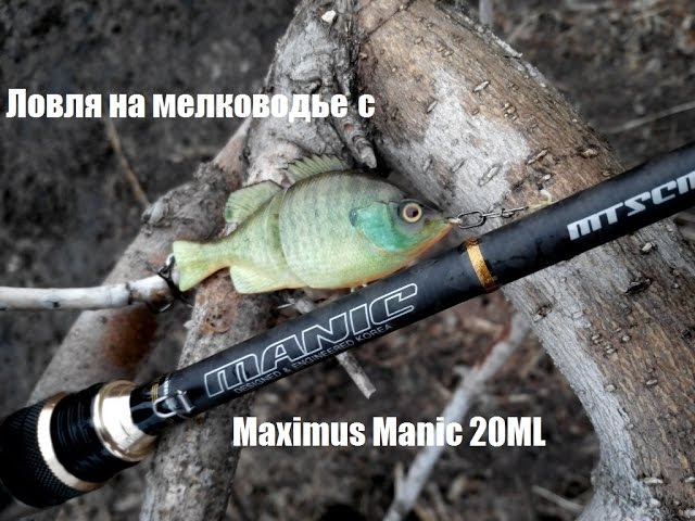 Ловля на мелководье с Maximus Manic 20 ML