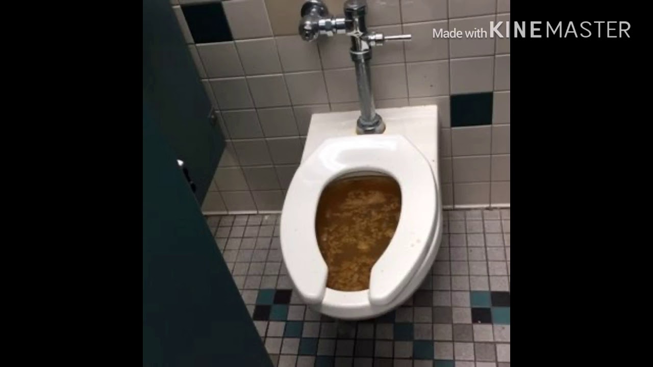 Toilet dump