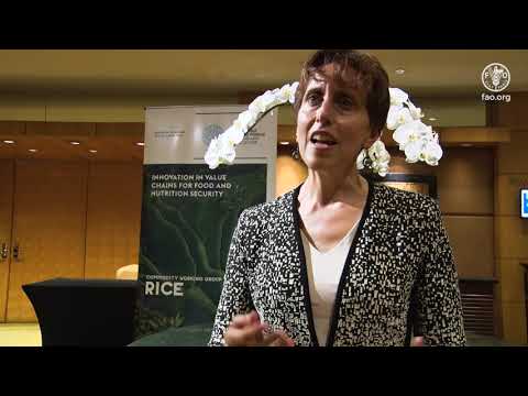 Responsible Business Forum - Diane Holdorf WBCSD